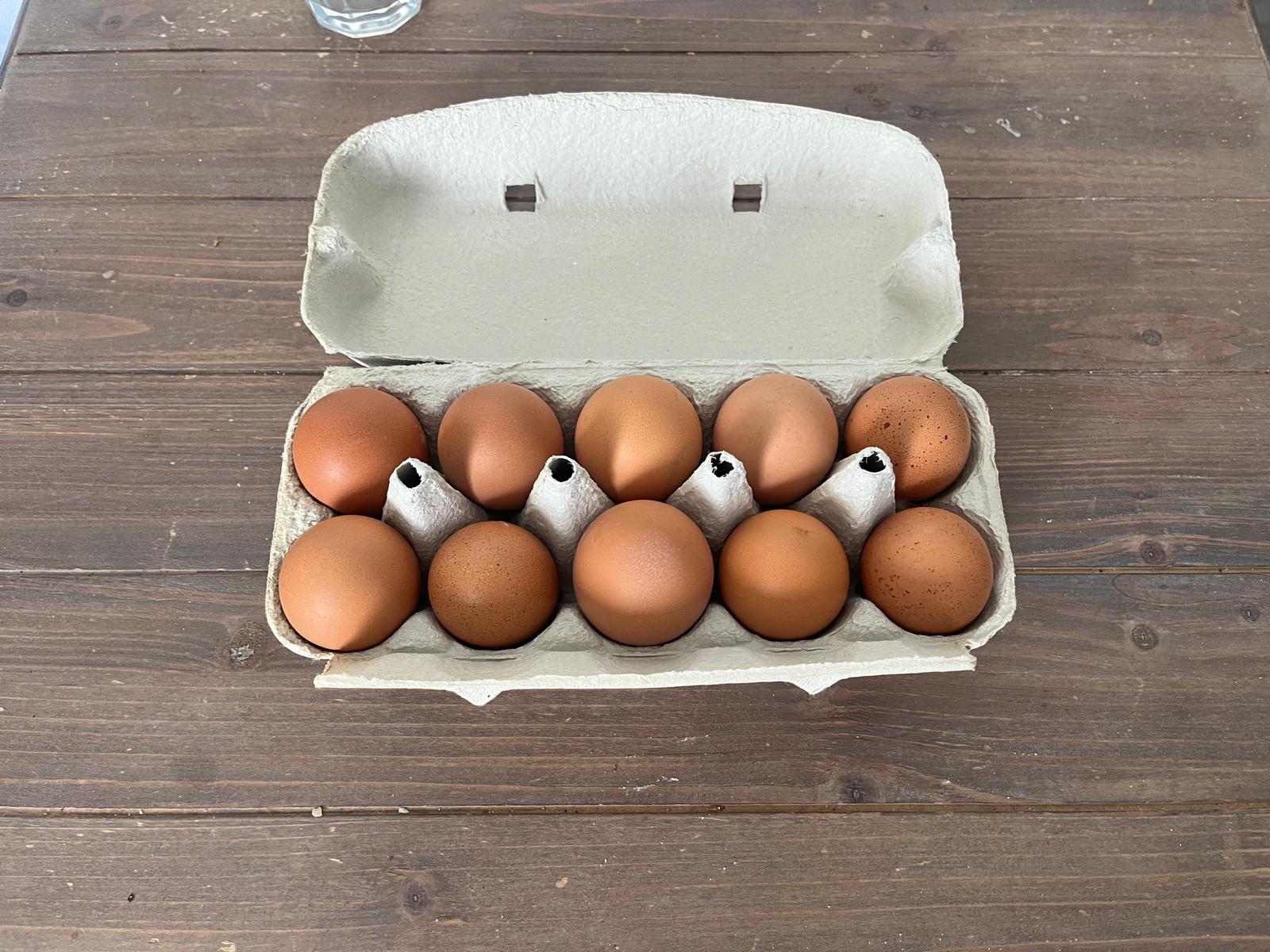 Zehn frische braune Eier in einer offenen Eierschachtel auf einem dunklen Holztisch, von oben fotografiert
