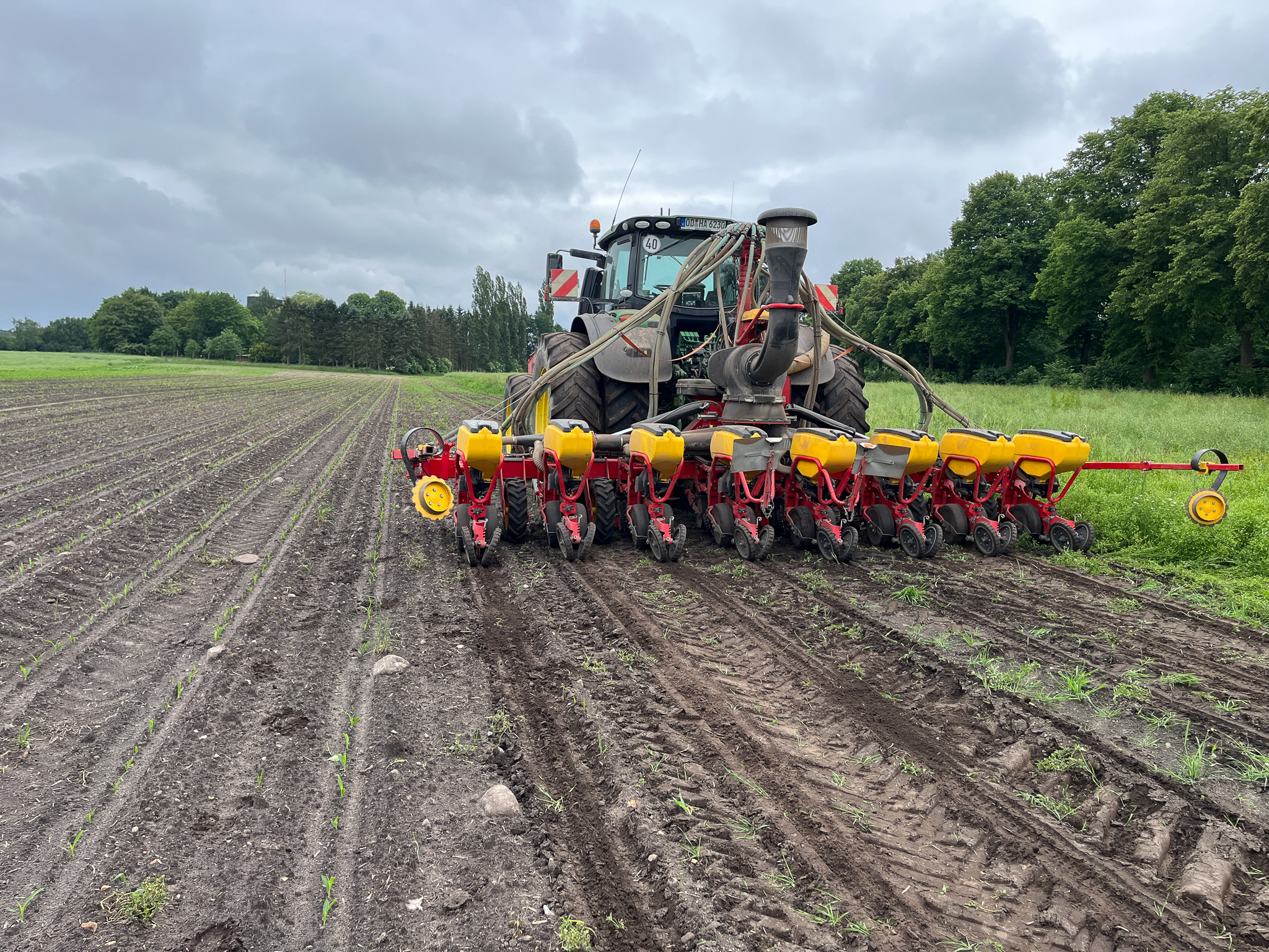 Traktor mit achtreihiger Einzelkornsämaschine beim Legen des Maises auf dem Feld